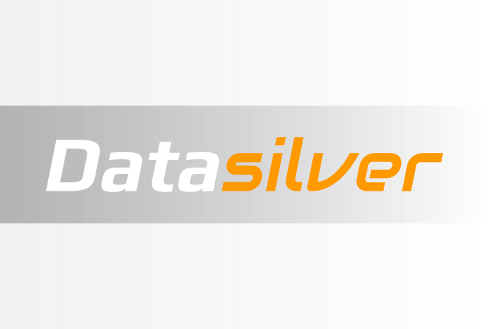 Logotype of a company DataSilver